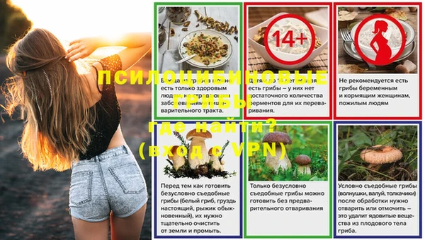 СК Арсеньев