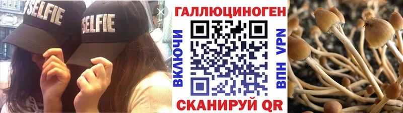 Галлюциногенные грибы мицелий  блэк спрут ONION  Полысаево 