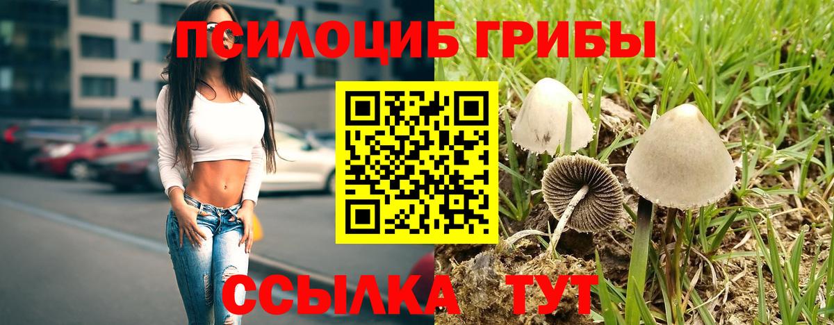 Псилоцибиновые грибы Cubensis  Вход с VPN  Полысаево 